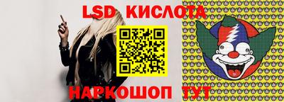 PSILOCYBIN Кингисепп