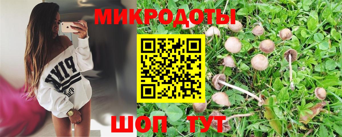 Псилоцибиновые грибы мухоморы Кириши