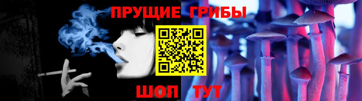 Кириши  Псилоцибиновые грибы Psilocybe  Галлюциногенные грибы ЛСД  Вход с VPN 